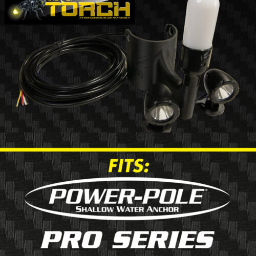 TORCH LIGHT (Power-Pole Sportsman II)