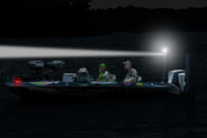 TORCH LIGHT - Image 3